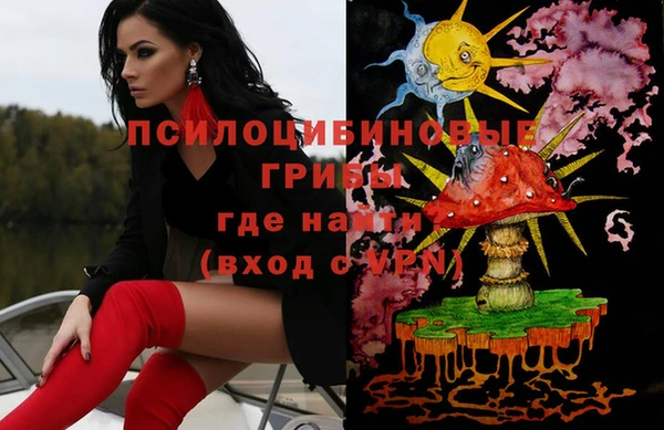 кокс Богородицк