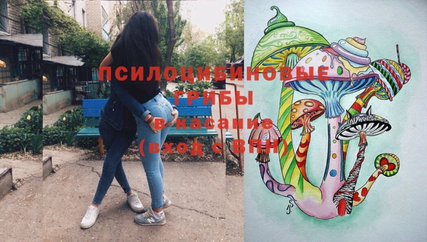 кокс Богородицк