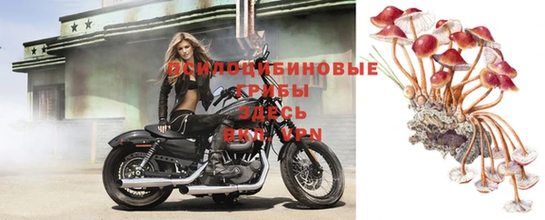 apvp Богородск