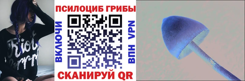 Галлюциногенные грибы прущие грибы что такое hydra как зайти shop наркотические препараты Каменск-Уральский