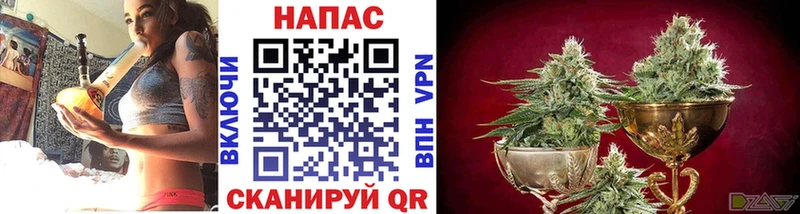 как найти наркотики  Каменск-Уральский  Бошки Шишки AK-47 